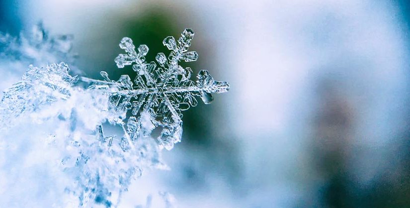 Close up of a snowflake | free readability test